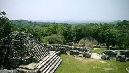 دستاوردهای جذاب علمی جهان در 2024،اخبار علمی،خبرهای علمی