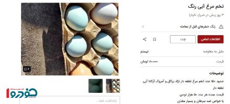 تخم مرغ لاکچری آبی،اخبار اقتصادی،خبرهای اقتصادی