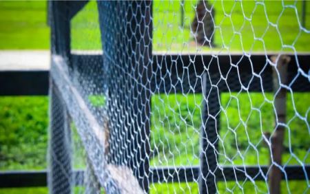 توری حصاری و توری مرغی