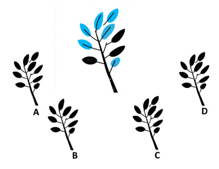 معمای تصویری, معمای تصویری سخت با جواب
