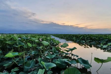 تالاب انزلی در نزدیکی رشت