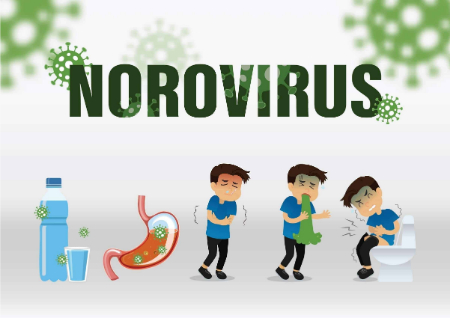 پیشگیری از نوروویروس, شستشوی دست برای جلوگیری از ویروس