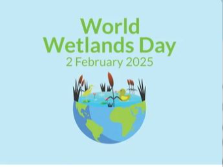 روز جهانی تالاب‌ها, تاریخ روز جهانی تالاب‌ها