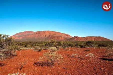 صخرۀ،اخبار گوناگون،خبرهای گوناگون