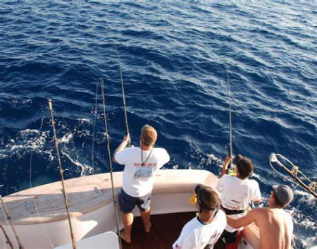 تور ماهیگیری,تور صید ماهی