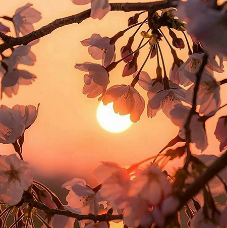 جملات انگیزشی برای زندگی, جملات الهام‌بخش زندگی