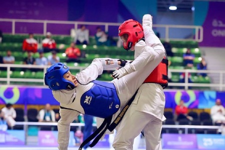 زندگی نامه ساینا کریمی