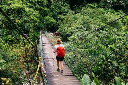 سیوداد پردیدا کلمبیا, شهر گمشده کلمبیا