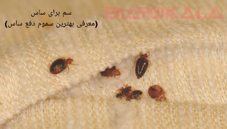 سم برای ساس (نحوه پاکسازی و دفع ساس)