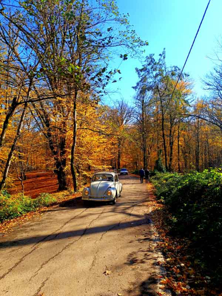 مسیر هزار پله آمل,سفر به پارک جنگلی هزار پله